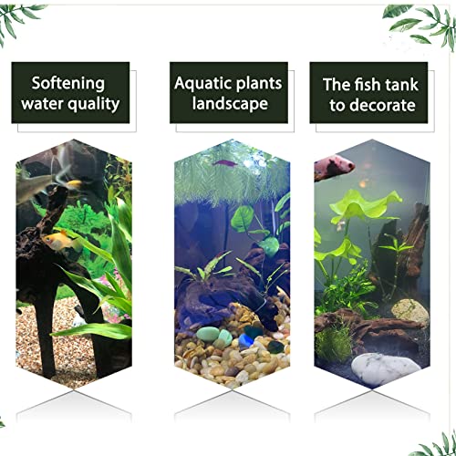 Natural Driftwood Decoration for Aquariums and Terrariums