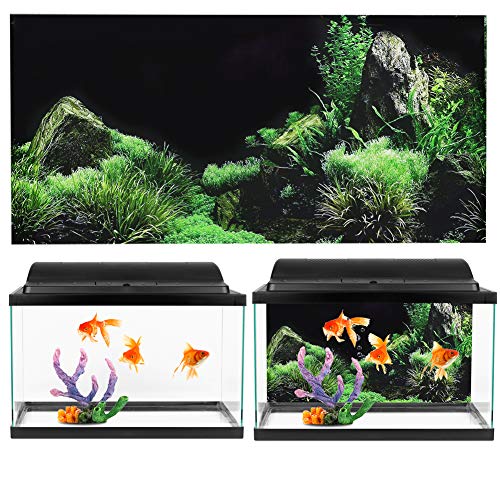3D Seafloor Aquarium Background Sticker – 24"x15.7