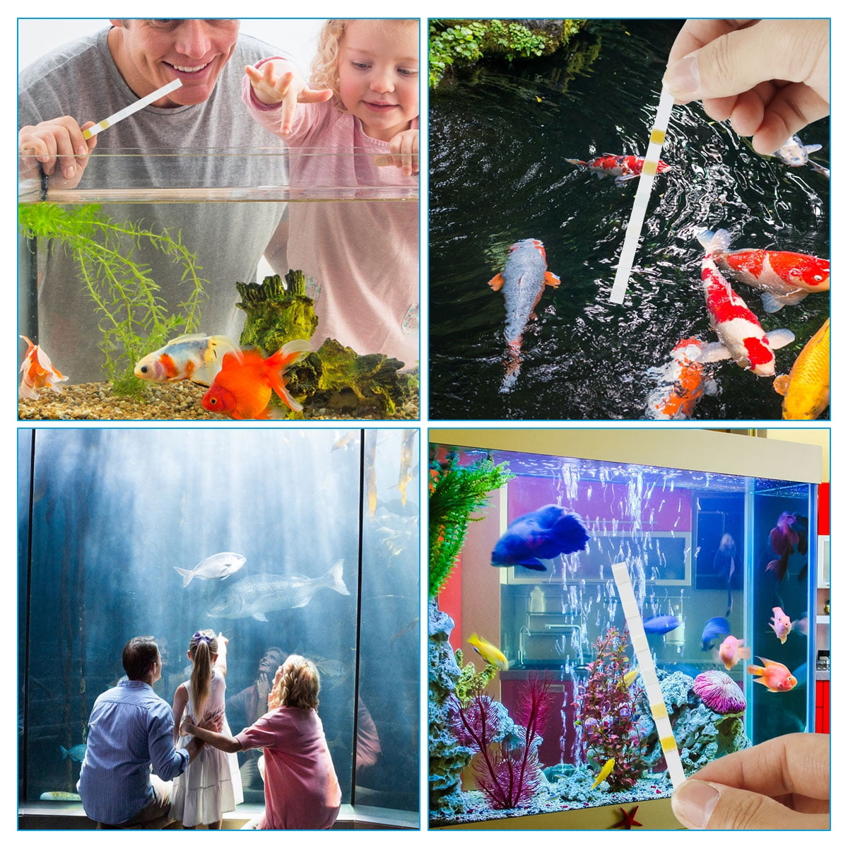 Aquarium Test Strips for Freshwater and Saltwater