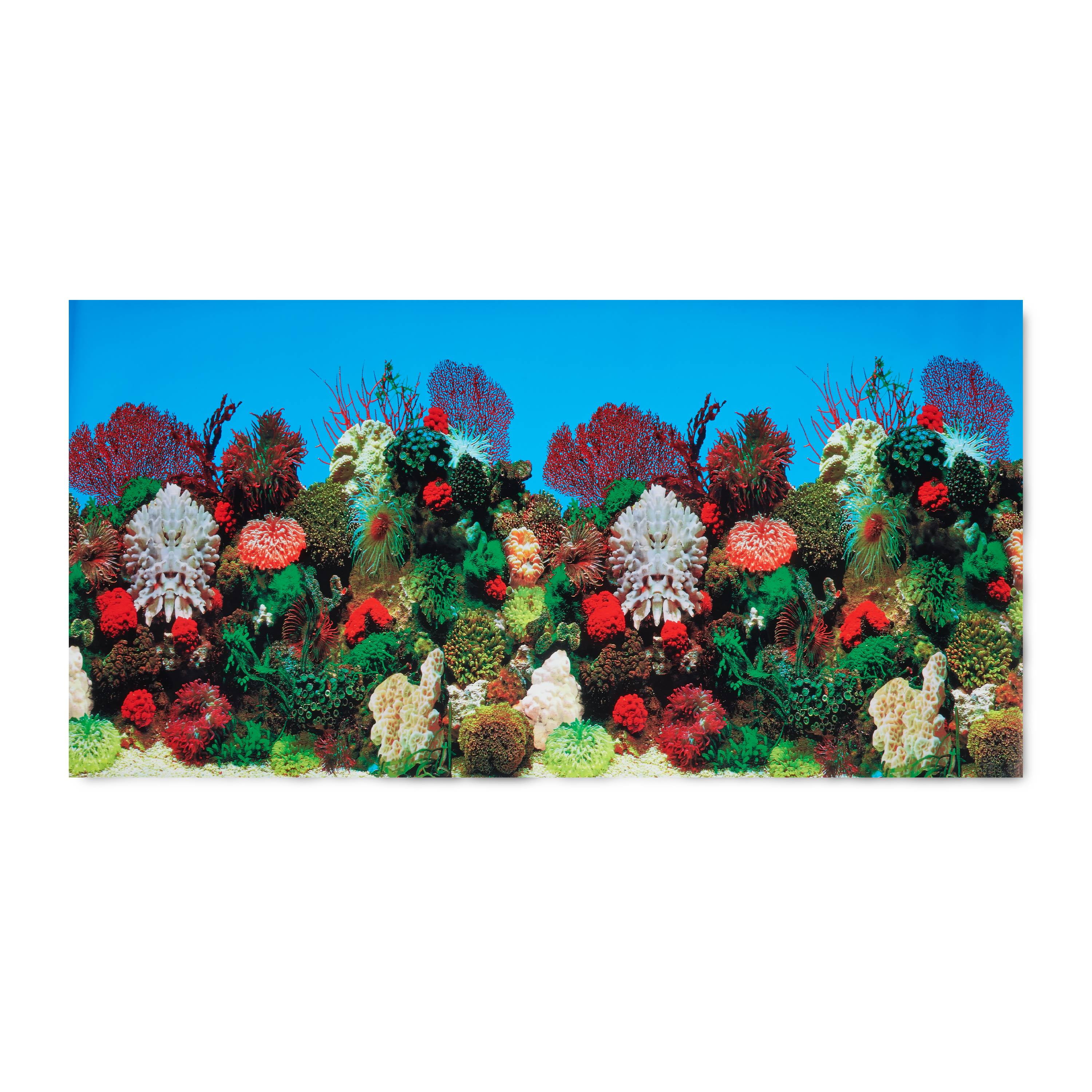 Aqua Culture Double-Sided Aquarium Background, 55 Gallon