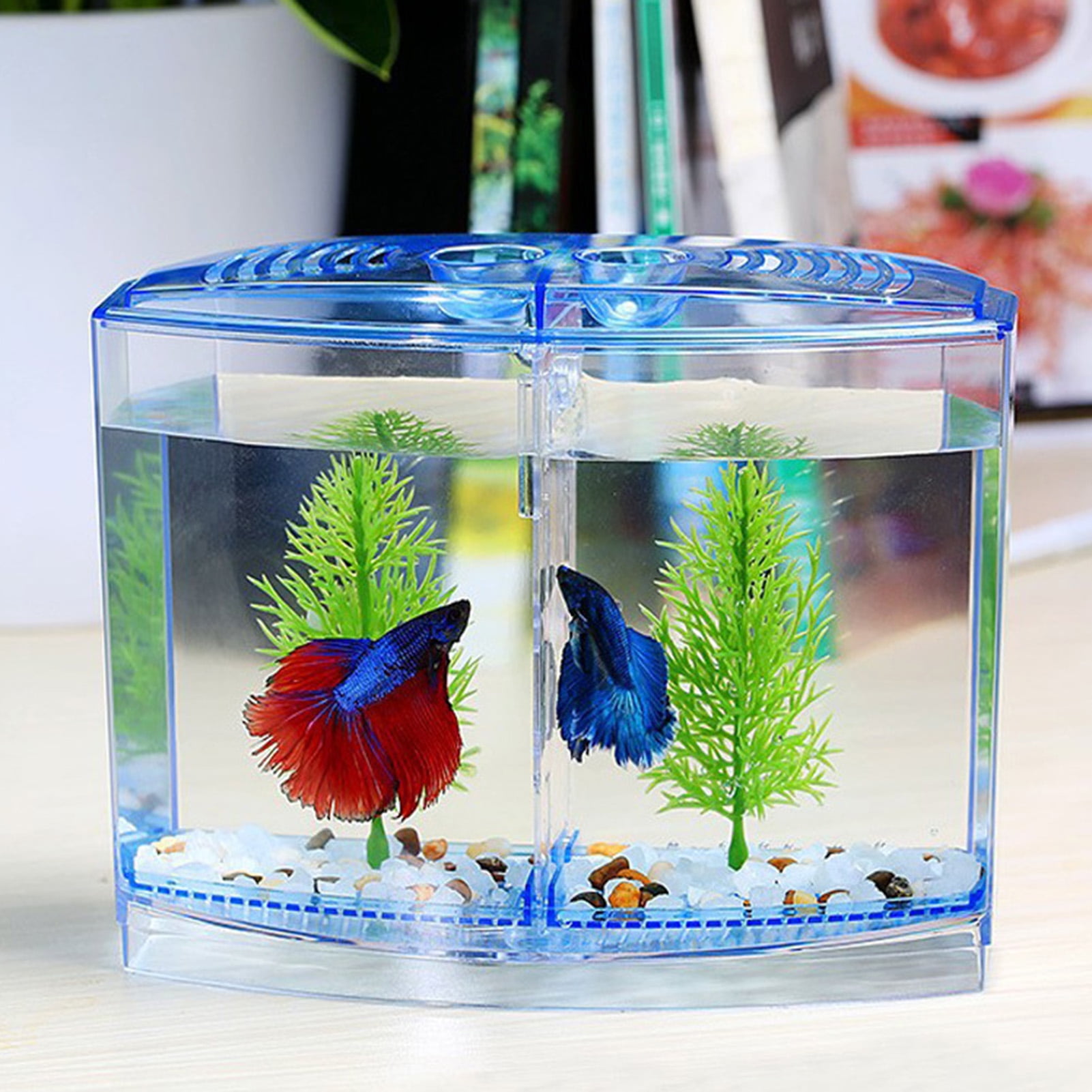 Meidiya Betta Fish Tank with LED Light and Decor