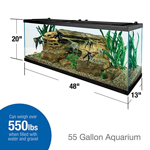 Tetra 55 Gallon Glass Aquarium Fish Tank