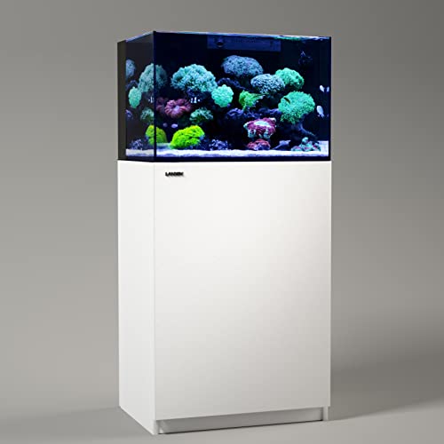 Landen 60P 26.23 Gallon Rimless Aquarium Tank