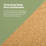 Bean Products Yoga Blocks - 2 Pack, Cork, Standard - 3x6x9 For Yoga, Pilates, Fitness, Body weight exercise.