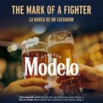 Modelo Especial Mexican Lager Import Beer, 12 pack 12 fl. oz. Bottles, 4.4% ABV