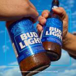 Bud Light Beer, 24 pack Beer, 12 fl oz Glass Bottles, 4.2% ABV, American Lager