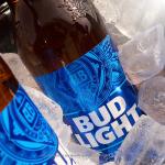 Bud Light Beer, 24 pack Beer, 12 fl oz Glass Bottles, 4.2% ABV, American Lager