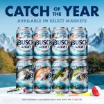 Busch Light American Lager Beer 12 Pack 12 fl oz Aluminum Cans 4.1% ABV