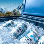 Busch Light American Lager Beer 12 Pack 12 fl oz Aluminum Cans 4.1% ABV