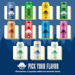 Sober Carpenter Non-Alcoholic Craft Beer Pack