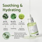 IUNIK Tea Tree Vegan Facial Serum for Balance