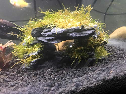 Voulosimi Natural Slate Rocks for Aquariums and Landscaping