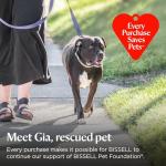 Bissell Pet Hair Eraser Lift-Off Vacuum Cleaner