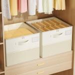 NestOrganix Large Foldable Shoe Organizer Bins – 2 Pack