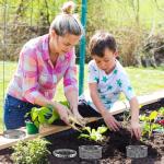 EcoBrisa 2-Pack Outdoor Worm Composting Bins