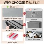 BALEINE Christmas Ornament Storage Bin with Dividers