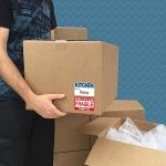 600 Count Color-Coded Moving Box Labels Set