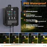 COLOER 8 Pack Low Voltage Landscape Lighting Kit