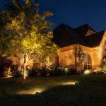 COLOER 8 Pack Low Voltage Landscape Lighting Kit
