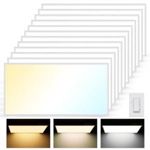 Aphyni 12-Pack Dimmable 2x4 LED Panel Lights
