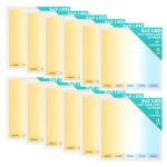 12 Pack Dimmable 2x2 LED Flat Panel Lights