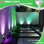 Color Changing Outdoor LED Landscape Lights Kit