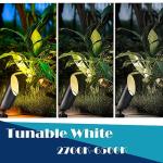 RGB LED Landscape Lights with Remote Control