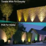 WISELUME RGB+CCT Low Voltage Outdoor Uplights