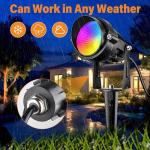 RGBW Color Changing LED Landscape Lights with Remote