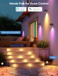 RGBW Color Changing LED Landscape Lights with App Control