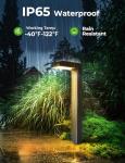 Coxseni Solar Pathway Lights with 3 Color Modes