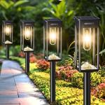 COXSENI Solar Pathway Lights, 6 Pack, Warm White