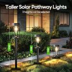 COXSENI Solar Pathway Lights, 6 Pack, Warm White