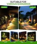 COXSENI Solar Pathway Lights, 6 Pack, Warm White