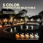 LEONLITE LED Low Voltage Deck Light, 6 Pack