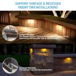 LEONLITE 12" LED Hardscape Pathway Light Pack