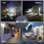 30W LED Wall Pack Light with Dusk Sensor
