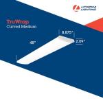 Lithonia 4FT Adjustable Lumens LED Ceiling Light