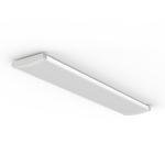 Lithonia 4FT Adjustable Lumens LED Ceiling Light