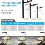 320W LED Parking Lot Light with Photocell