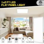 BeckTour 24W Dimmable LED Flat Panel Light 2-Pack