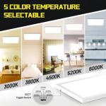 BeckTour 24W Dimmable LED Flat Panel Light 2-Pack