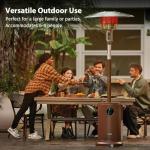 EAST OAK 50,000 BTU Outdoor Patio Heater