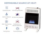 ProCom 10000 BTU Ventless Natural Gas Space Heater