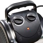 BioGreen Electric Greenhouse Heater with Thermostat