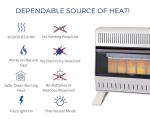 ProCom 30,000 BTU Ventless Infrared Gas Heater
