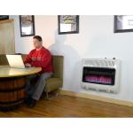 30,000 BTU Natural Gas Blue Flame Heater