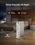 Pelonis 1500W Oil Filled Radiator Heater