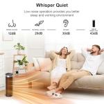 Portable Ceramic Space Heater with Remote Control