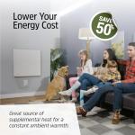 EconoHome 400W Wall Mounted Convection Heater